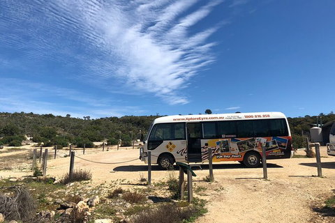 Coffin Bay Day Tour - A Taste Of Coffin Bay - New South Wales Tourism  4