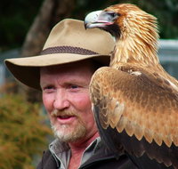 Kangaroo Island Wildlife Day Trip from Adelaide Including Seal Bay - New South Wales Tourism 