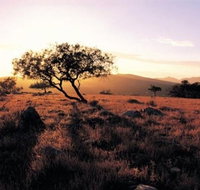 Adelaide To Coober Pedy 7 DAY SMALL GROUP 4WD SAFARI - New South Wales Tourism 