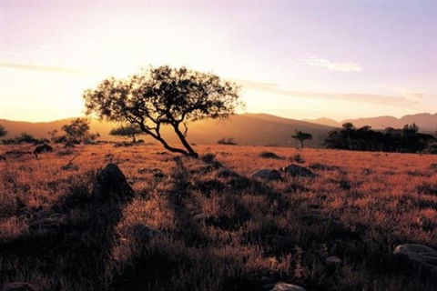 Adelaide To Coober Pedy 7 DAY SMALL GROUP 4WD SAFARI - New South Wales Tourism  0