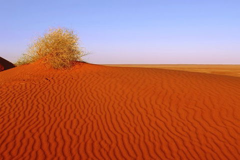 Adelaide To Coober Pedy 7 DAY SMALL GROUP 4WD SAFARI - New South Wales Tourism  3