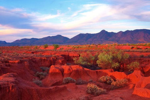 Adelaide To Coober Pedy 7 DAY SMALL GROUP 4WD SAFARI - New South Wales Tourism  7