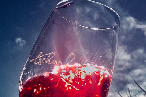 Private Winery Tour Chauffeured - New South Wales Tourism  7