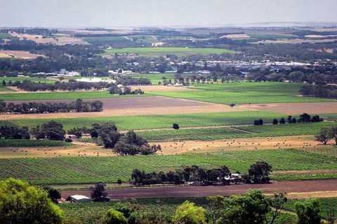 Small Tour Barossa Valley Voyager Tour From Adelaide Or Glenelg - New South Wales Tourism  8