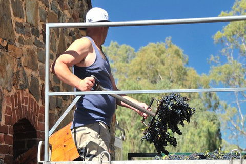 Small Tour Barossa Valley Voyager Tour From Adelaide Or Glenelg - New South Wales Tourism  3