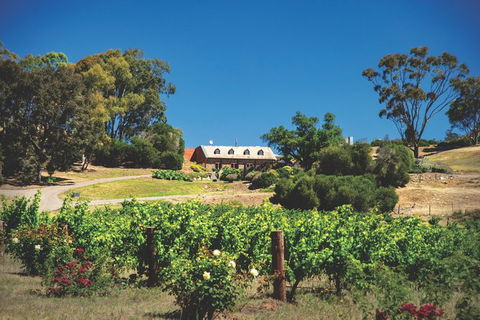 Small Tour Barossa Valley Voyager Tour From Adelaide Or Glenelg - New South Wales Tourism  9