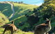McLaren Vale And Fleurieu Peninsula Day Trip By 4WD Including Gourmet Picnic Lunch - thumb 1