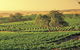 Barossa Valley: Behind The Scenes Private Tour - thumb 3