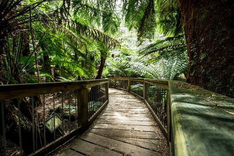 3-Day Adelaide To Melbourne Overland Trip Through Grampians And Great Ocean Road - New South Wales Tourism  13