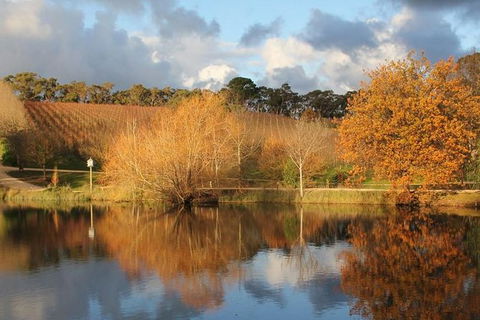 Small-Group Fleurieu Peninsula Food And Wine Experience By 4WD Including 3-Course Lunch - New South Wales Tourism  0