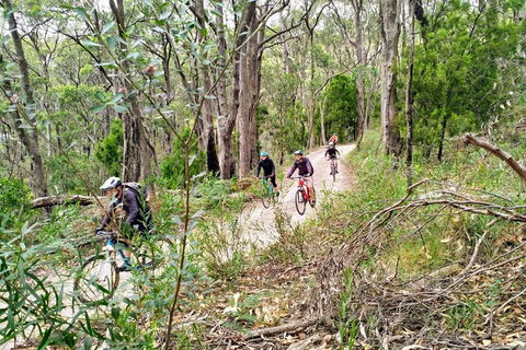 Mount Lofty Descent Bike Tour From Adelaide - New South Wales Tourism  5