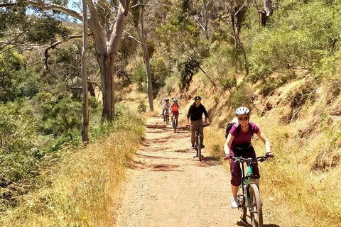 Mount Lofty Descent Bike Tour From Adelaide - New South Wales Tourism  3