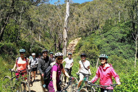 Mount Lofty Descent Bike Tour From Adelaide - New South Wales Tourism  2