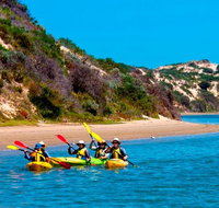 Half-Day Kayaking Tour in Coorong National Park - New South Wales Tourism 