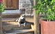 Barossa Private Group 1-13 Tour To Barossa Valley Or McLaren Vale From Adelaide - thumb 39