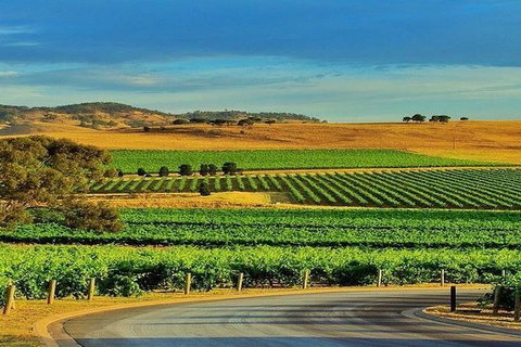 Barossa Private Group 1-13 Tour To Barossa Valley Or McLaren Vale From Adelaide - New South Wales Tourism  37