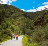 Morialta Wilderness and Wildlife Hike - Day Trip from Adelaide - New South Wales Tourism 