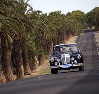 Private Barossa Valley Winery Tour by Classic 1962 Daimler from the Barossa Valley - New South Wales Tourism 