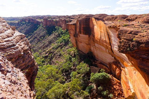 6-Day Rock Patrol Trip Adelaide To Alice Springs Or Uluru - New South Wales Tourism  8