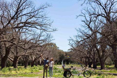 Adelaide 90-Minute Pedicab Tour: Scenic Green & River Experience - New South Wales Tourism  1