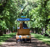 Adelaide 90-Minute Pedicab Tour Scenic Green  River Experience - New South Wales Tourism 
