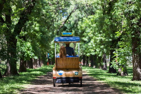 Adelaide 90-Minute Pedicab Tour: Scenic Green & River Experience - New South Wales Tourism  0
