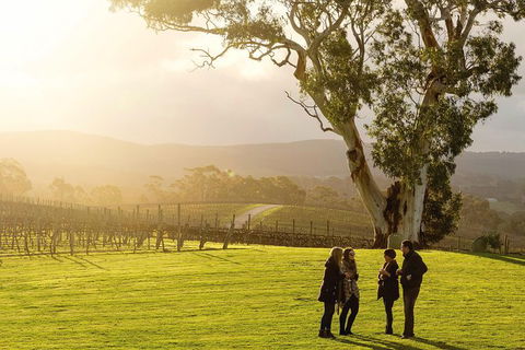 Full-Day Hahndorf And Adelaide Hills Hop-On Hop-Off Tour From Adelaide - New South Wales Tourism  4