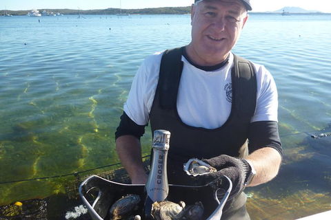 Oyster Farm And Tasting Tour With Hotel Pick-up And Return From Port Lincoln - New South Wales Tourism  0
