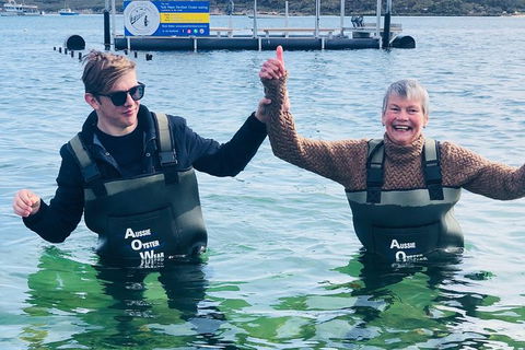 Oyster Farm And Tasting Tour With Hotel Pick-up And Return From Port Lincoln - New South Wales Tourism  5