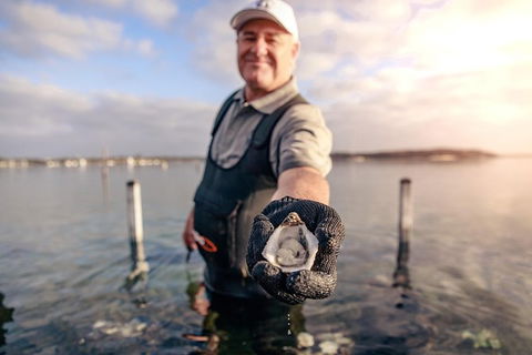Oyster Farm And Tasting Tour With Hotel Pick-up And Return From Port Lincoln - New South Wales Tourism  3