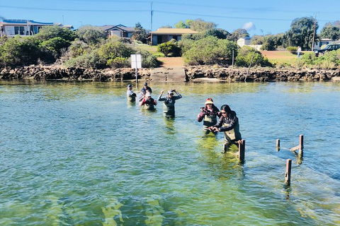 Oyster Farm And Tasting Tour With Hotel Pick-up And Return From Port Lincoln - New South Wales Tourism  6