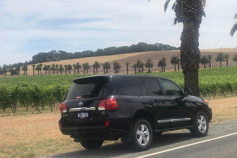 AirPort Transfers & People Mover - New South Wales Tourism  1
