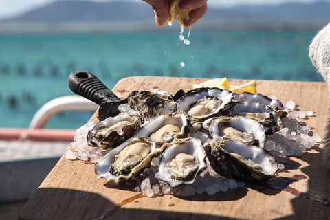Experience Coffin Bay Short And Sweet Oyster Farm Tour - New South Wales Tourism  0
