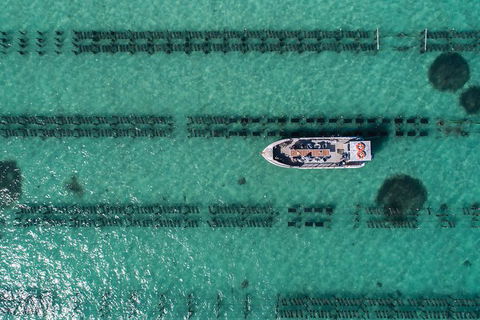 Experience Coffin Bay Short And Sweet Oyster Farm Tour - New South Wales Tourism  1
