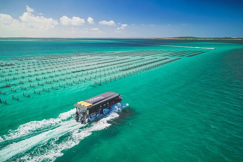 Experience Coffin Bay Short And Sweet Oyster Farm Tour - New South Wales Tourism  2