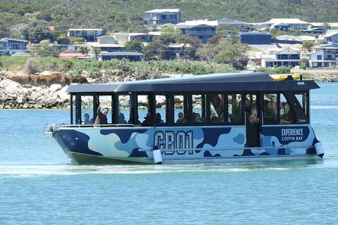 Experience Coffin Bay Short And Sweet Oyster Farm Tour - New South Wales Tourism  9