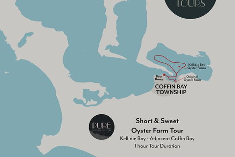 Experience Coffin Bay Short And Sweet Oyster Farm Tour - New South Wales Tourism  6