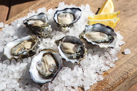 Experience Coffin Bay Short And Sweet Oyster Farm Tour - New South Wales Tourism  3