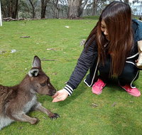 Adelaide Essentials Tour - New South Wales Tourism 