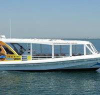 Adelaide Ocean Safari - Wild Dolphin Safari - New South Wales Tourism 
