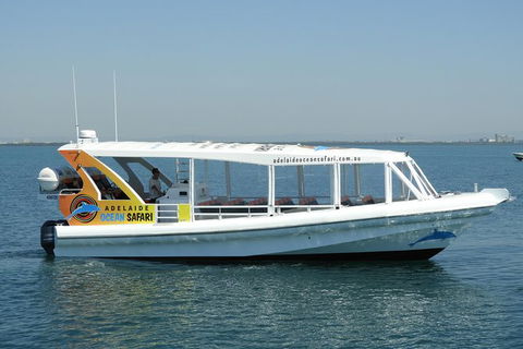 Adelaide Ocean Safari - Wild Dolphin Safari - New South Wales Tourism  0
