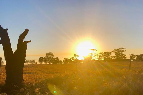 Bike Tour Strathalbyn & Langhorne Creek - New South Wales Tourism  3
