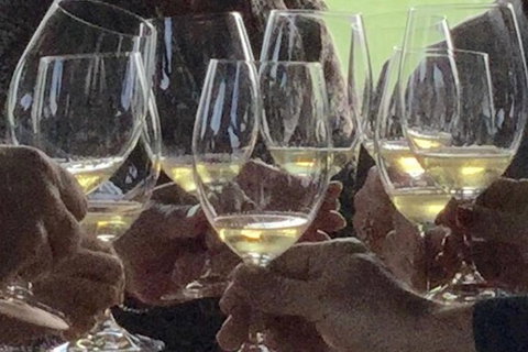 Luxury Private Mclaren Vale Wine Tour - New South Wales Tourism  1