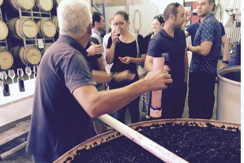 Luxury Private Mclaren Vale Wine Tour - New South Wales Tourism  7