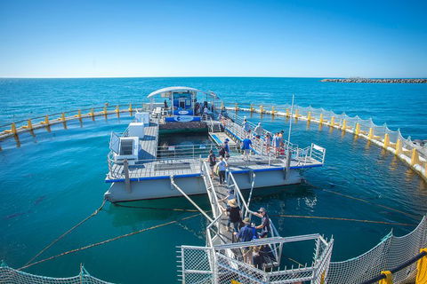 Island Discovery Package - Aquarium Swim & Seafood Tasting Platter - New South Wales Tourism  1
