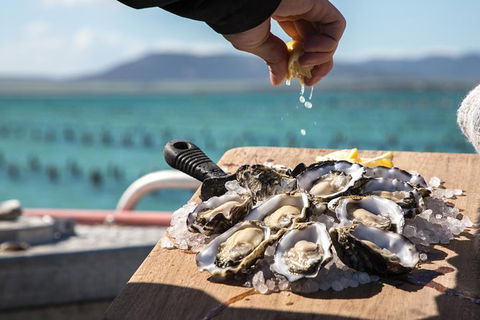 Experience Coffin Bay Oyster Farm And Bay Tour - New South Wales Tourism  0
