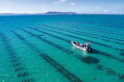 Experience Coffin Bay Oyster Farm And Bay Tour - New South Wales Tourism  10
