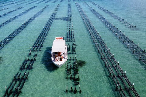 Experience Coffin Bay Oyster Farm And Bay Tour - New South Wales Tourism  8