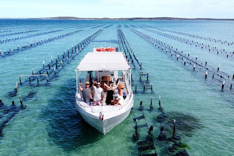 Experience Coffin Bay Oyster Farm And Bay Tour - New South Wales Tourism  12