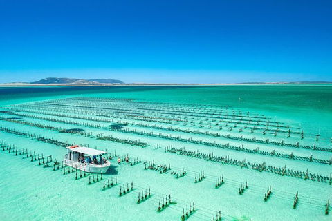 Experience Coffin Bay Oyster Farm And Bay Tour - New South Wales Tourism  7